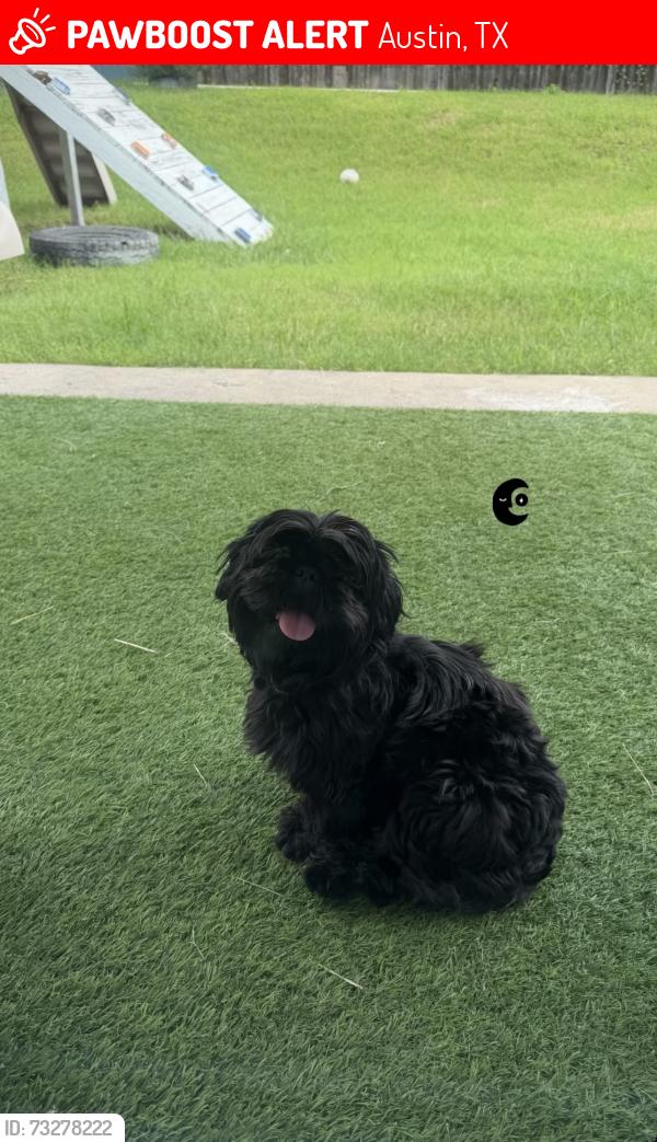 Lost Male Dog last seen Near Nuttall Dr, Austin, TX 78724