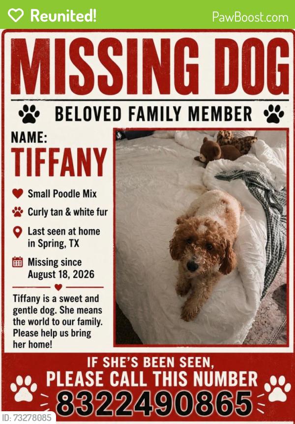 Reunited Female Dog last seen Cypresswood Dr, Harris County, TX 77388