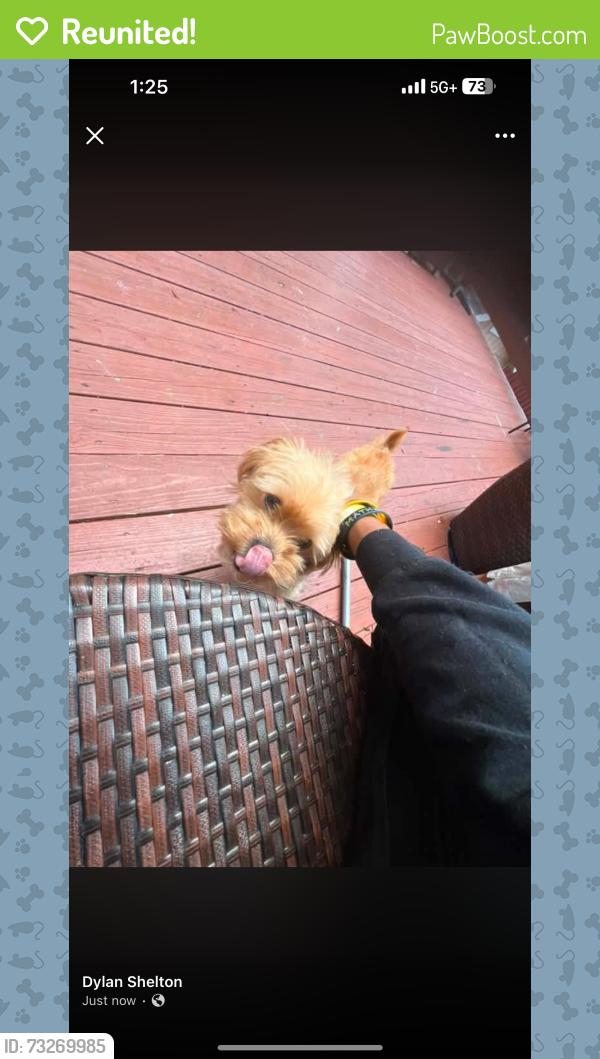 Reunited Male Dog last seen Crofton meadows elementary school, Crofton, MD 21114