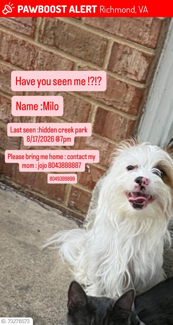 Lost Male Dog last seen Brockway Lane, Richmond, VA 23223