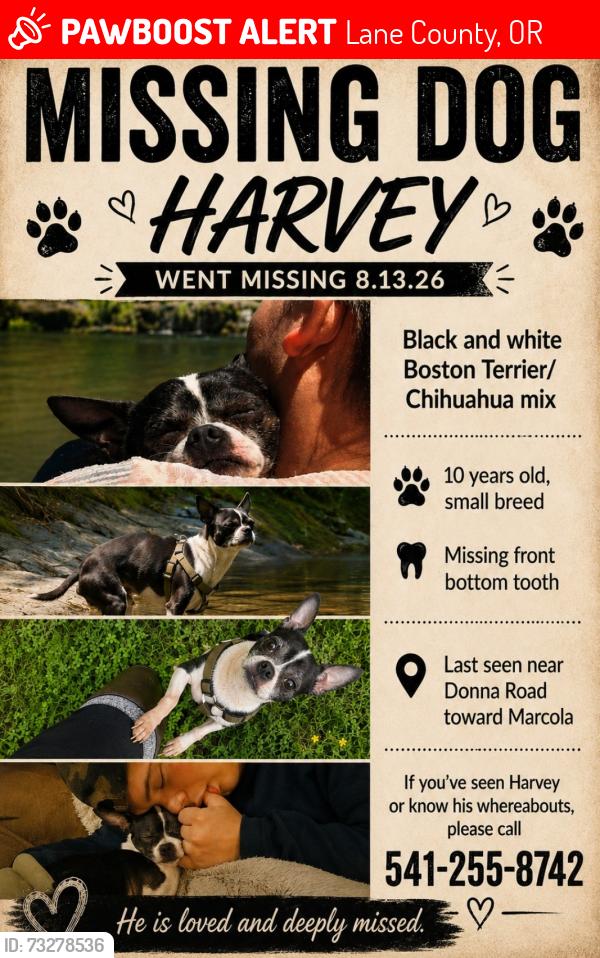 Lost Male Dog last seen Hill rd (Mohawk community church), Lane County, OR 97478