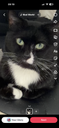 Lost Male Cat last seen Camphill shopper, Warwickshire, England CV10 9AX