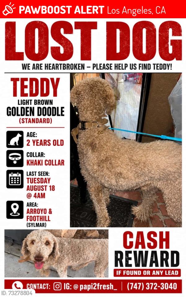 Lost Female Dog last seen foothill and arroyo, Los Angeles, CA 91342