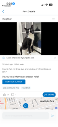 Lost Male Cat last seen Rose and Iris Ave, Floral Park NY, Floral Park, NY 11001