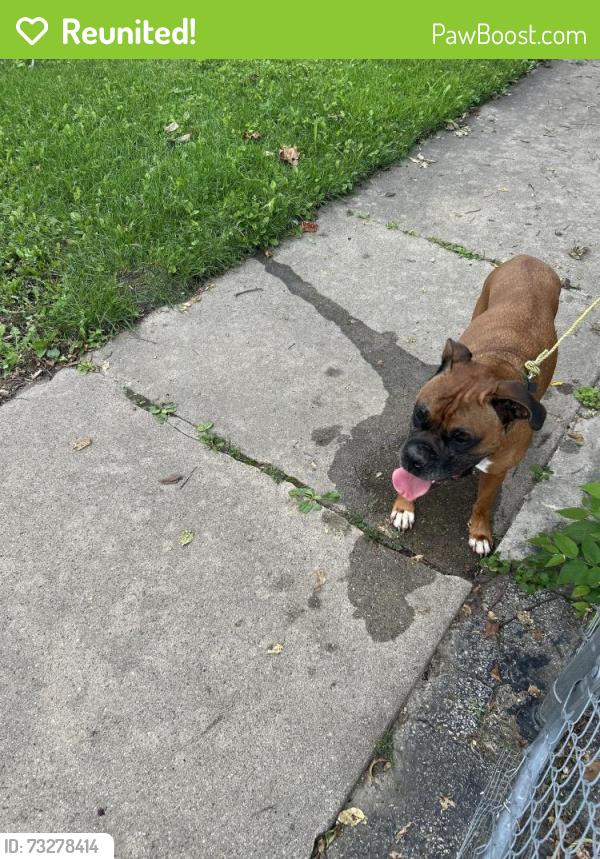 Reunited Unknown Dog last seen By Bardwell Elementary, Aurora, IL 60506