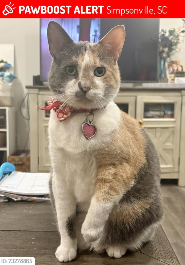 Lost Female Cat last seen Kelsey Glen Neighborhood, Simpsonville, SC 29681
