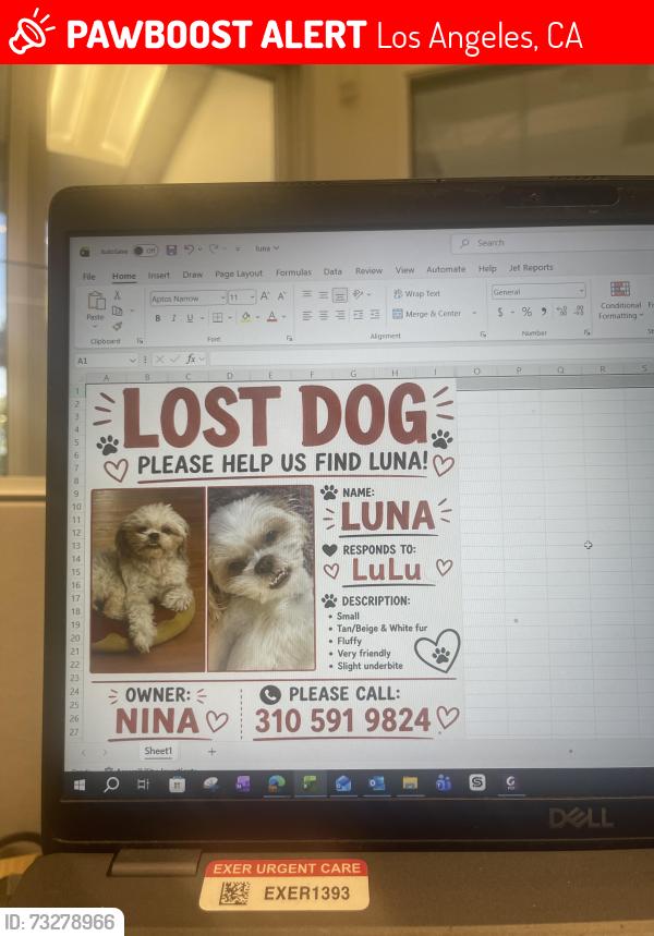 Lost Female Dog last seen Figuroea 61 st near a church and elementary school, Los Angeles, CA 90044