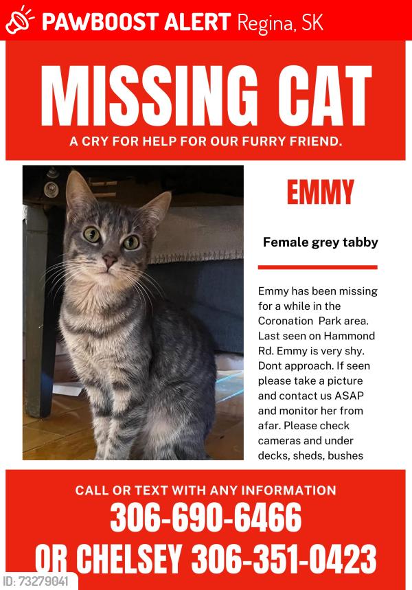 Lost Female Cat last seen Hammond Rd., Regina, SK 