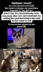 Lost Female Cat last seen the driveway of the last address she was seen, somewhere in that area, Mebane, NC 27302