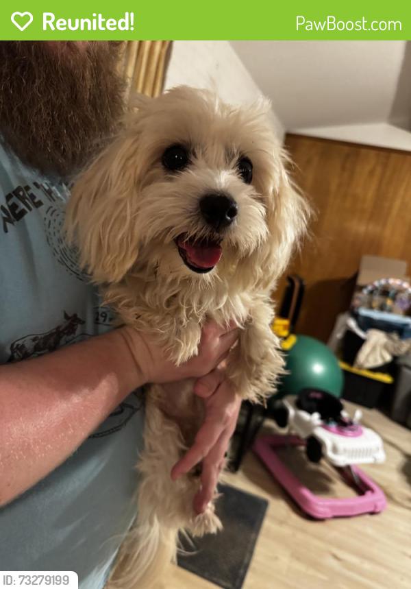 Reunited Male Dog last seen Winesanker Way, Fort Worth, TX 76133, USA, Fort Worth, TX 76133