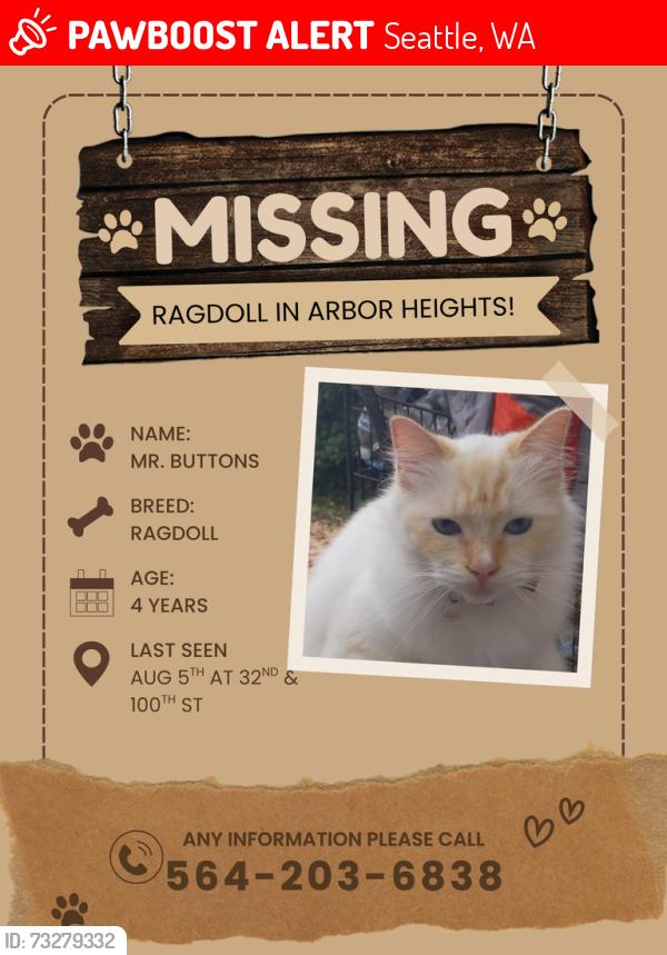 Lost Male Cat last seen 32nd and 100th st near the Roxbury 76 gas station, Seattle, WA 98146