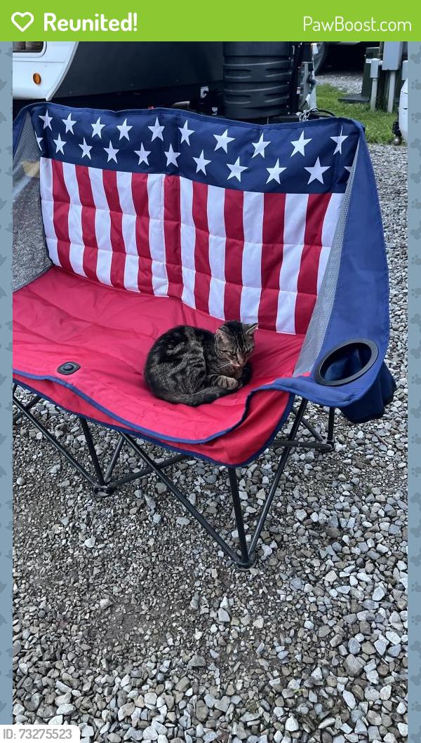 Reunited Unknown Cat last seen Berkshire Campground, Galena, OH 43021