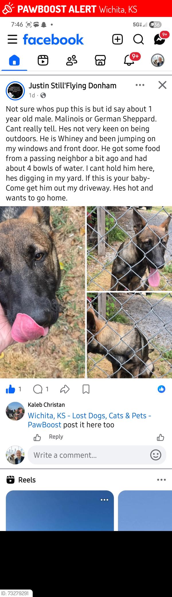 Lost Unknown Dog last seen May St & Glenn St, Wichita, KS 67213