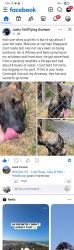 Lost Unknown Dog last seen May St & Glenn St, Wichita, KS 67213