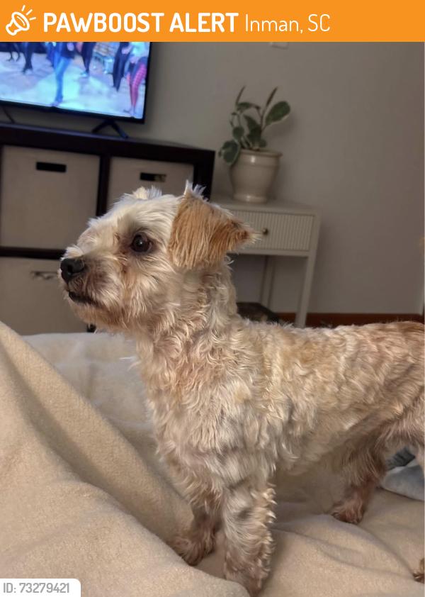 Found/Stray Male Dog last seen Asheville highway, Inman, SC 29349