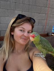 Lost Female Bird last seen Corona, CA, Corona, CA 92882