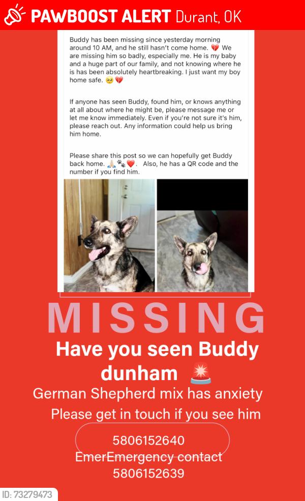 Lost Male Dog last seen Durant ok, Durant, OK 74701