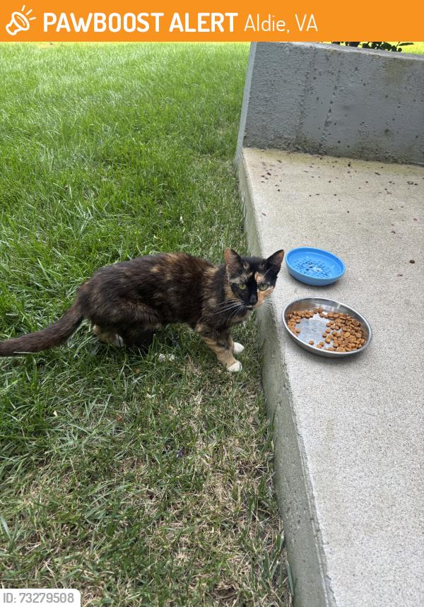 Found/Stray Unknown Cat last seen Near willowsford, Aldie, VA 20105