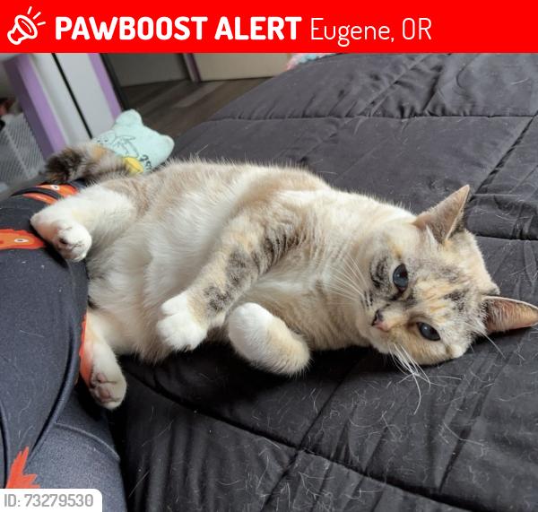 Lost Female Cat last seen Barger, Eugene, OR 97402