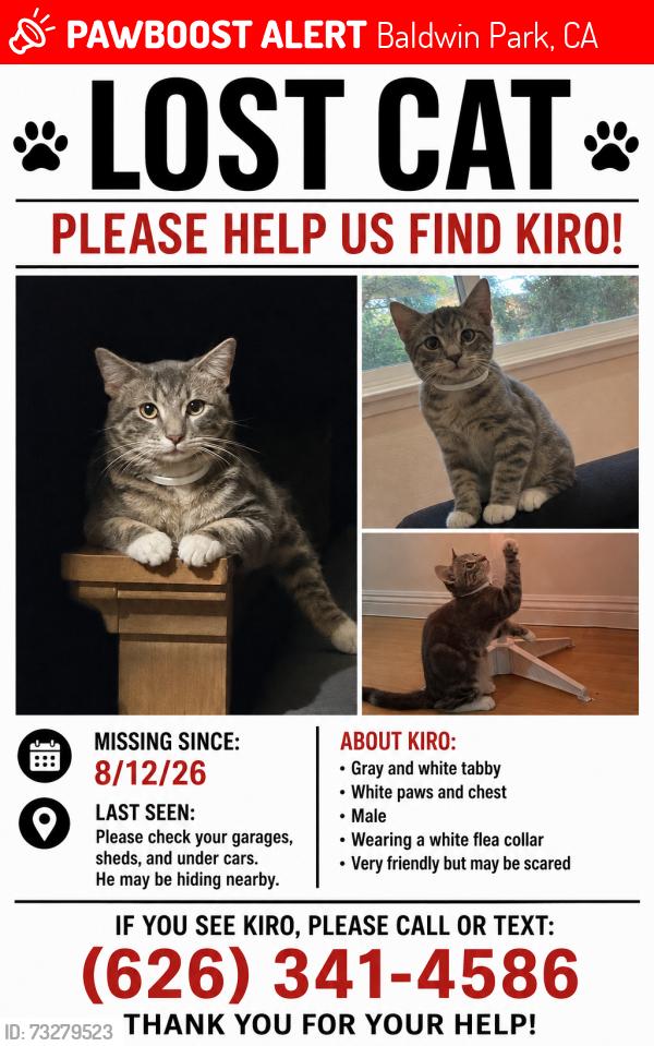 Lost Male Cat last seen Los Ángeles and Walnut ave, Baldwin Park, CA 91706