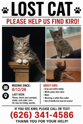 Lost Male Cat last seen Los Ángeles and Walnut ave, Baldwin Park, CA 91706