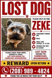 Lost Male Dog last seen Columbia Rd, Boise, ID 83709