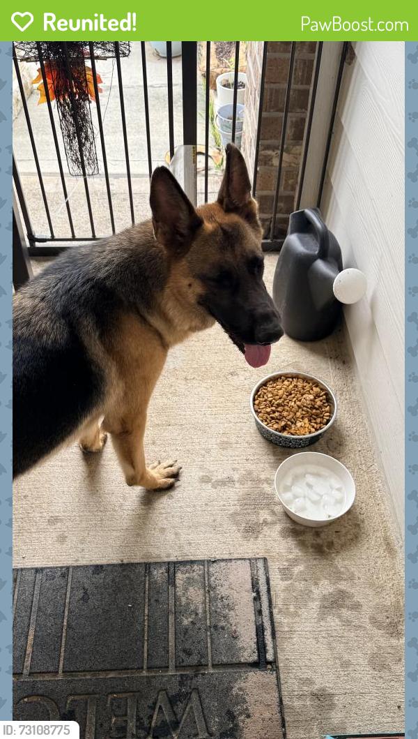 Reunited Female Dog last seen Loretta Costa Ln, Harris County, TX 77449