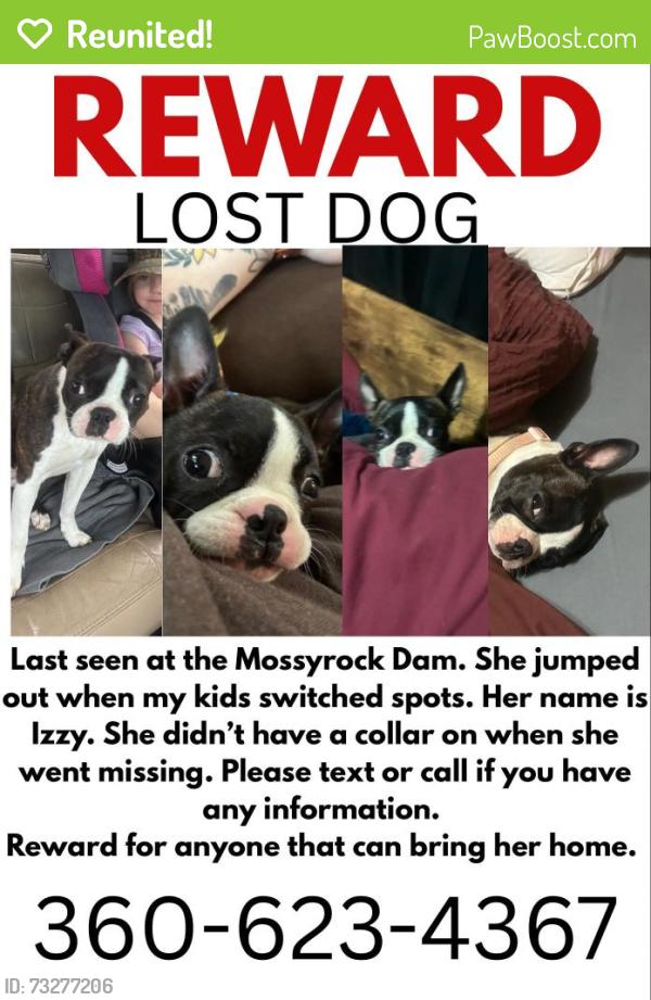 Reunited Female Dog last seen Mossyrock Dam/Hydro-Vista Area Mossyrock, WA, Mossyrock, WA 98564