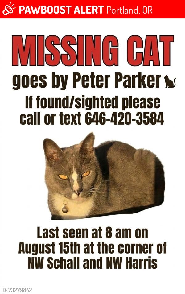 Lost Male Cat last seen NW Schall and NW Harris Terrace, Portland, OR 97229