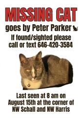 Lost Male Cat last seen NW Schall and NW Harris Terrace, Portland, OR 97229