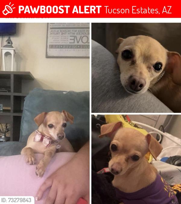 Lost Unknown Dog last seen Santa Clara and Elvira, Tucson Estates, AZ 85735