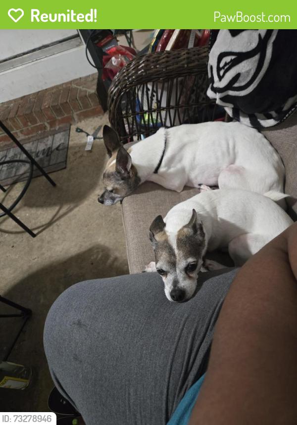 Reunited Male Dog last seen Ebert, Winston-Salem, NC 27127