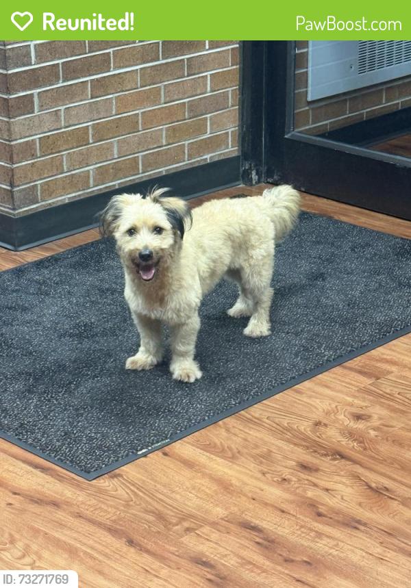Reunited Unknown Dog last seen Sibley, Dolton, IL 60419