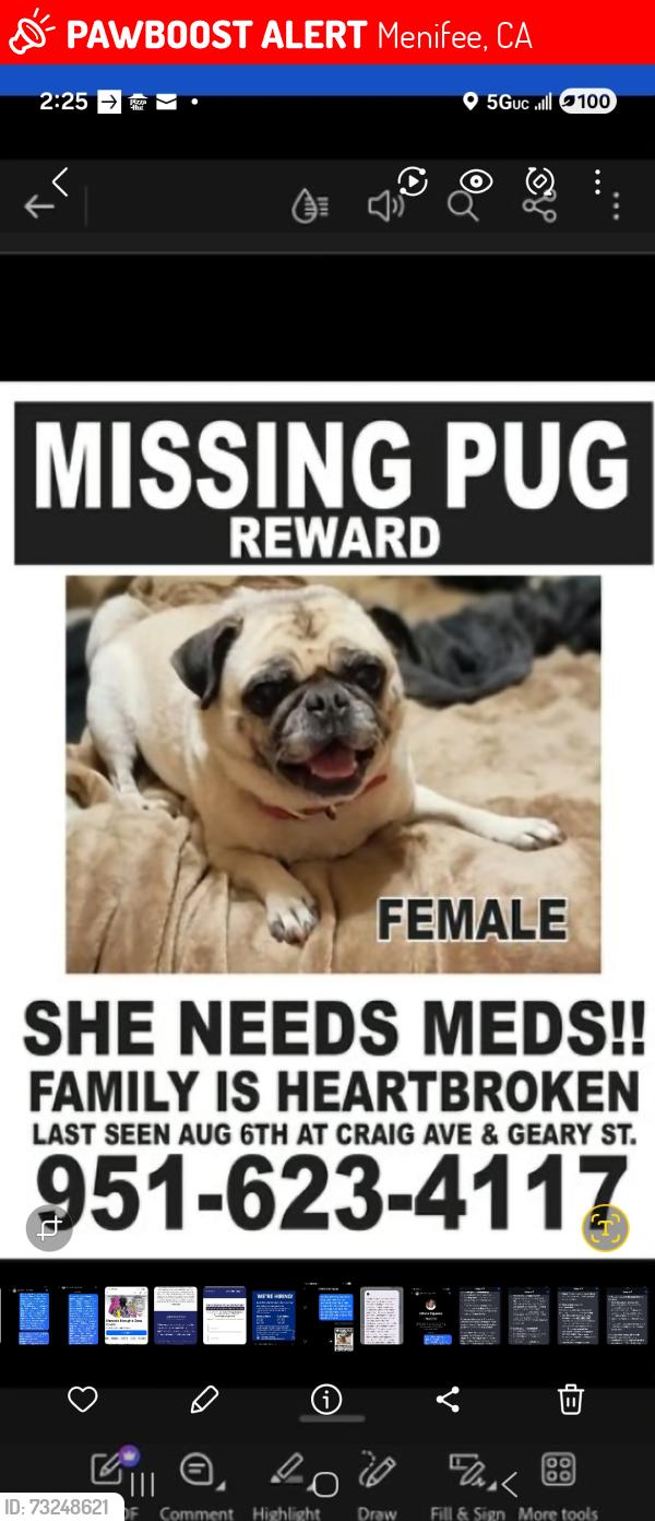 Lost Female Dog last seen Murrieta rd and Craig St, Menifee, CA 92584