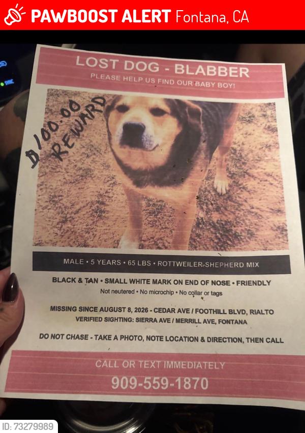 Lost Male Dog last seen Merrill, Fontana, CA 92335