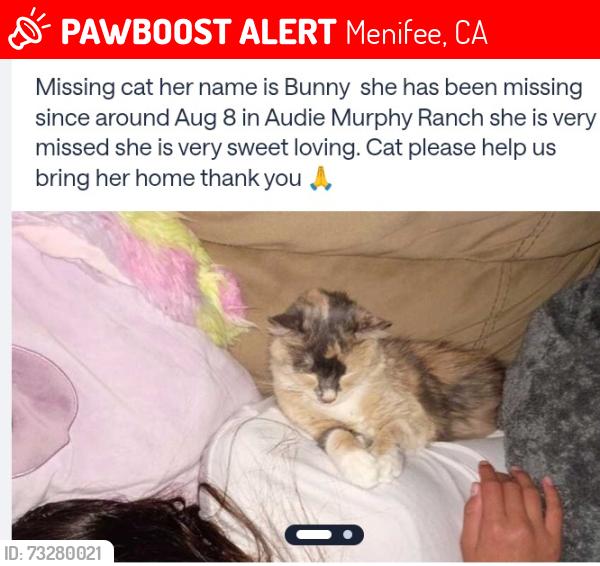 Lost Female Cat last seen Audie Murphy Ranch area, Menifee, CA 92584
