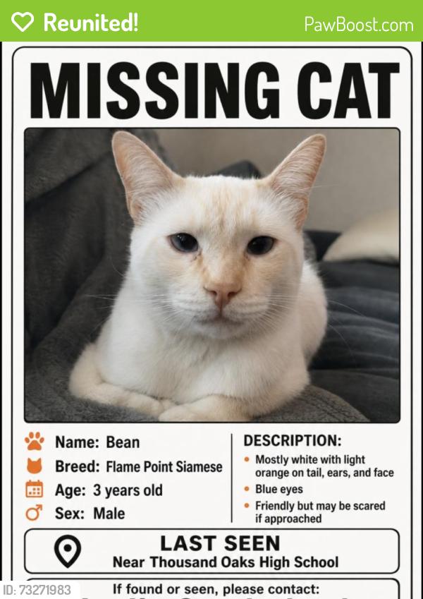 Reunited Male Cat last seen Moorpark rd and Avenida de las flores, Thousand Oaks, CA 91360