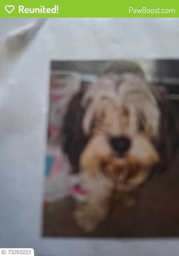 Reunited Male Dog last seen Kenneth and Balein and Dixie, Pontiac, MI 48340