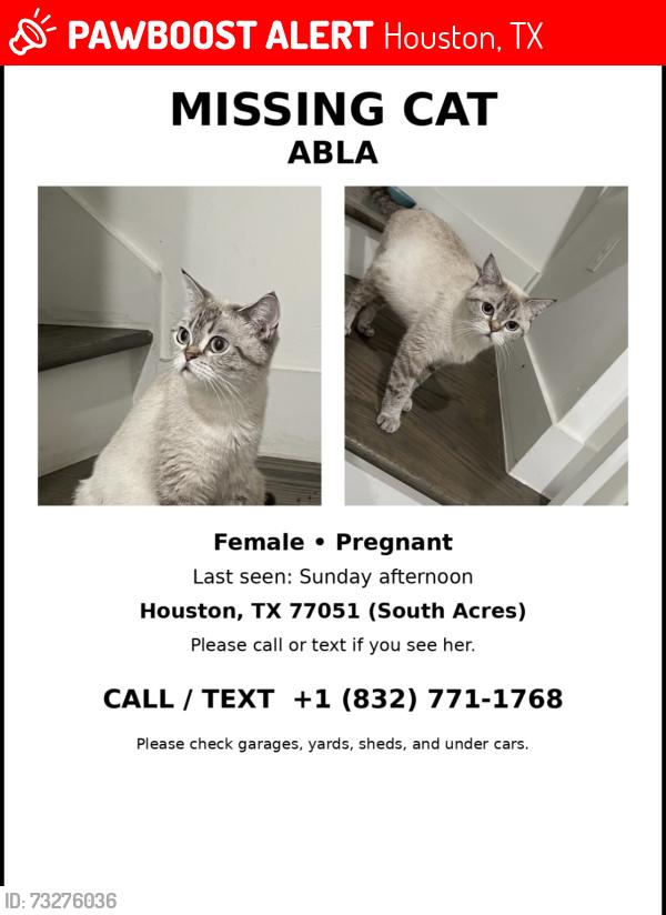 Lost Female Cat last seen South Acres / 77051, Houston, TX 77051