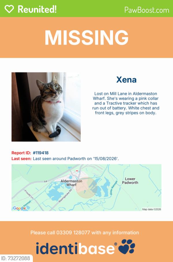 Reunited Female Cat last seen Mill Lane, Padworth, Padworth, England RG7 4JU