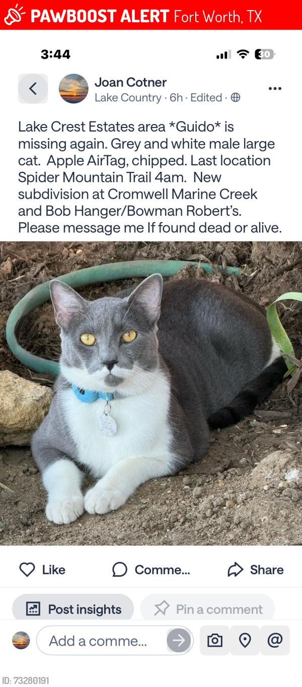 Lost Male Cat last seen Cromwell Marine Creek Rd Bowman Robert’s Rd, Fort Worth, TX 76179