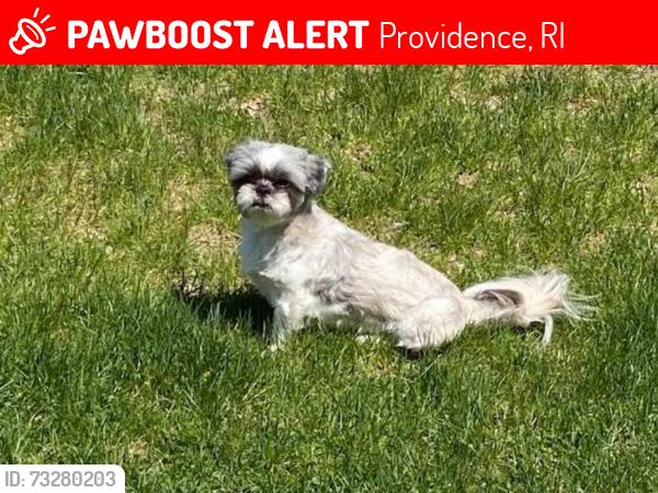 Lost Male Dog last seen Near Hartford Ave, Providence, RI 02909