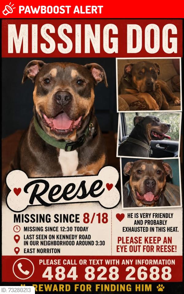 Lost Male Dog last seen Polk, kennedy, pierce road, East Norriton Township, PA 19403
