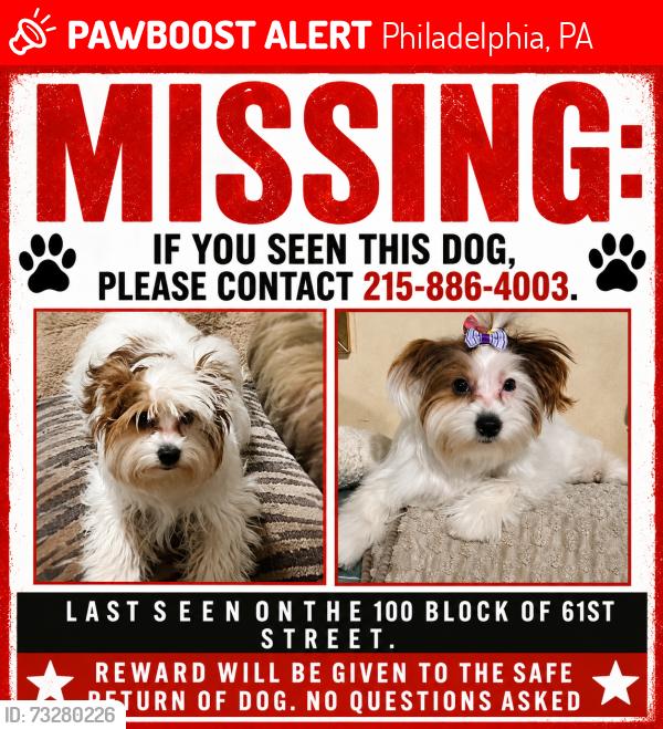 Lost Female Dog last seen Vine street, Philadelphia, PA 19151