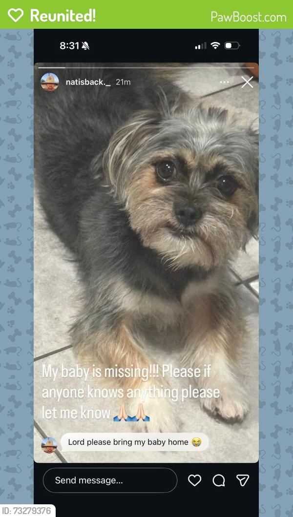 Reunited Male Dog last seen Near Palmetto St, Philadelphia, PA 19124, USA, Philadelphia, PA 19124