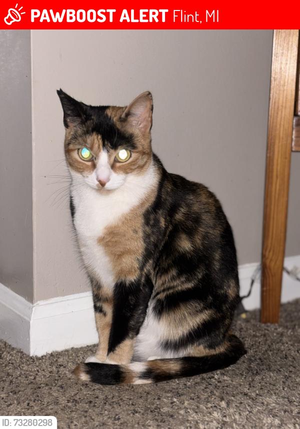 Lost Female Cat last seen North Vassar Rd between Carpenter and Coldwater, Flint, MI 48506