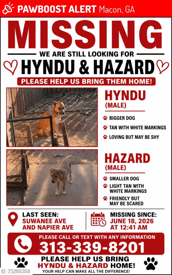 Lost Male Dog last seen Suwanee Ave & Napier Ave, Macon, GA 31206