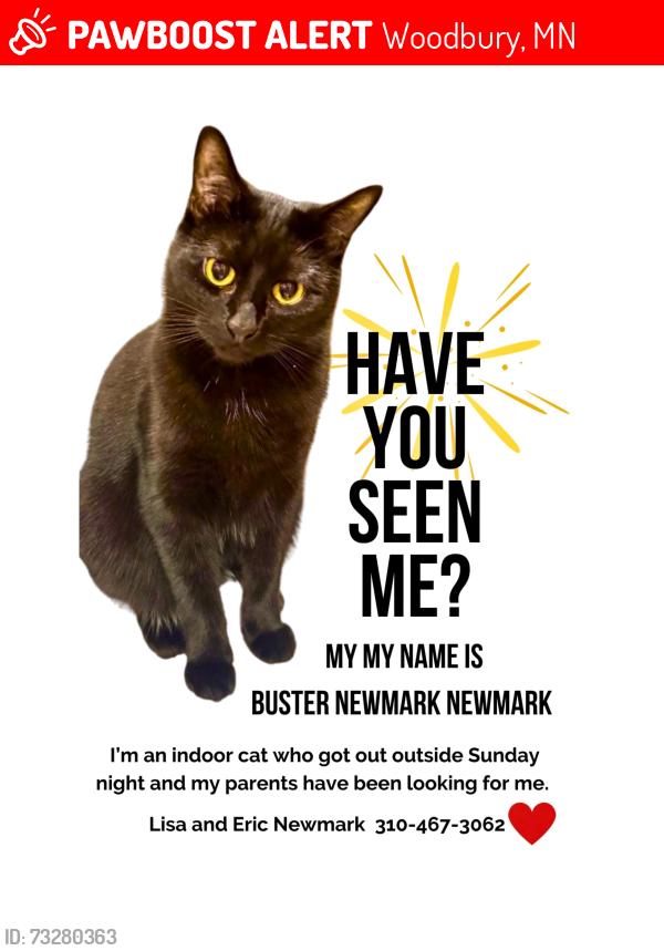 Lost Male Cat last seen Sherwood Road and Sherwood Echo, Woodbury, MN 55125