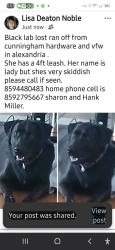 Lost Female Dog last seen VFW, Alexandria, KY 41001