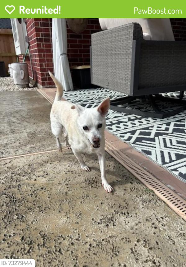 Reunited Female Dog last seen Close to lake view park in kings river, Humble, TX 77346